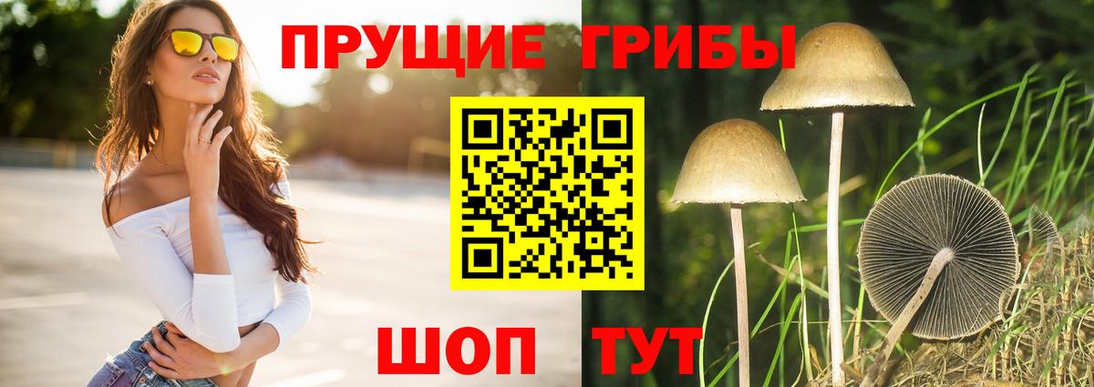Алексеевка  купить   Галлюциногенные грибы Psilocybe  Вход с VPN  Псилоцибиновые грибы прущие грибы 